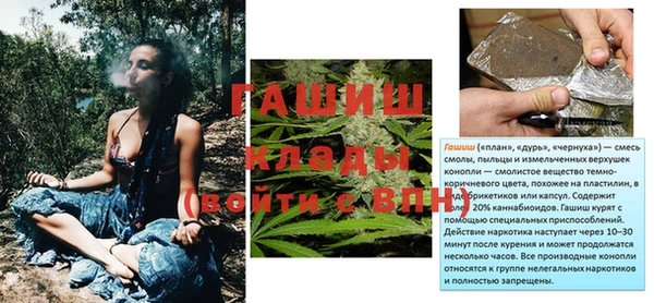 стаф Балахна