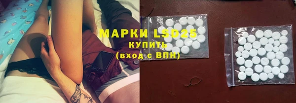 стаф Балахна