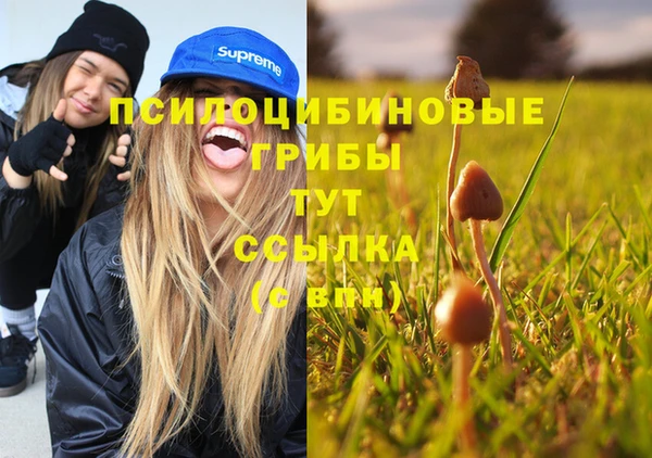 2c-b Баксан