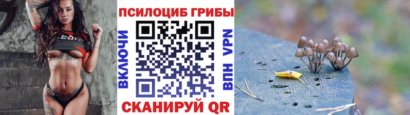 купить наркотик  Бобров  Галлюциногенные грибы Psilocybe 